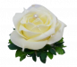 Preview: Gastgeschenk große Rose in Rosenblättern mit Perlen