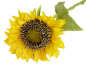 Preview: Schöne Sonnenblume für die Tischdeko 1