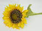 Preview: Schöne Sonnenblume für die Tischdeko 2