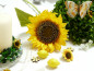 Preview: Schöne Sonnenblume für die Tischdeko 3