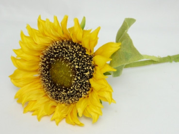 Schöne Sonnenblume für die Tischdeko 2