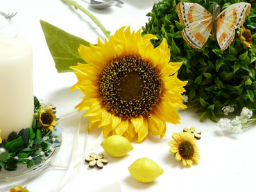 Schöne Sonnenblume für die Tischdeko 3