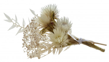 Zartes Trockenblumensträußchen - Blumendeko mit Trockenblumen - 1