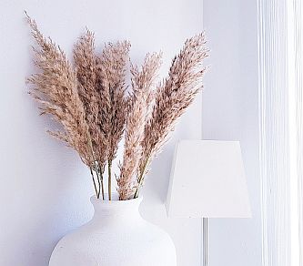 Trockengräser, Pampasgras und Trockenblumen für Ihre Blumendeko