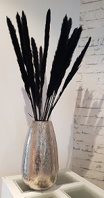 Wohndekoration und Accessoires in Schwarz. Trockenblumen, Pampasgras, schwarze Äpfel, Zapfen, Windlichter aus schwarzem Metall.
