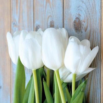 Servietten zum Frühling und für Ihre Osterdeko - bunt, fröhlich, festlich