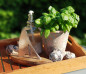 Preview: Segelschiff aus Mango-Holz Preview: Segelschiff aus Mango-Holz