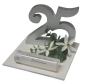 Preview: Geldgeschenk, Geldbox "Silverdream" zur Silberhochzeit - 3