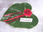 Preview: Kleines Blatt mit einer roten Rose und Schleife 1 Preview: Kleines Blatt mit einer roten Rose und Schleife 1
