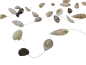 Preview: Girlande mit echten Muscheln - 2