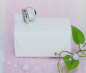 Preview: Gastgeschenk Truhe mit Ringen 2