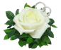 Preview: Rose in Rosenblättern mit zwei Ringen 1