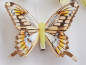 Preview: bunte Schmetterlinge mit einem Clip - 2 Preview: bunte Schmetterlinge mit einem Clip - 2