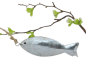 Preview: weißer Fisch aus Holz mit einer Schnur - Fischhänger 1