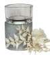 Preview: Windlicht/Vase in Betonoptik - 6 Preview: Windlicht/Vase in Betonoptik - 6