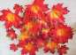 Preview: Herbstdeko - 24 Herbstblätter zum Streuen
