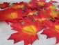 Preview: Herbstdeko - 24 Herbstblätter zum Streuen