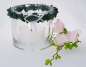 Preview: Glaswindlicht mit Buchs und einem Fisch - 3 Preview: Glaswindlicht mit Buchs und einem Fisch - 3