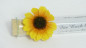 Preview: Glasröhrchen, Reagenzglas, Gastgeschenk, Sonnenblume, sonne