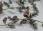 Preview: Lärchen-Girlande mit Zapfen 1,80 m - 1 Preview: Lärchen-Girlande mit Zapfen 1,80 m - 1
