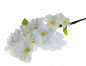 Preview: Kirschblütenzweig, weiß, Blumendeko - 1