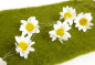 Preview: Girlande mit Margertien, 1,80 m lang
