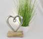 Preview: Blumendeko Miscanthusgras, China-Schilf im Topf - 2