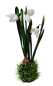 Preview: Blumendeko - Schneeglöckchen als Strauß. Blumendekoration Tischdeko-online 1