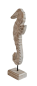 Preview: Seepferdchen aus Holz im Shabby-Look, 30 cm - 6 Preview: Seepferdchen aus Holz im Shabby-Look, 30 cm - 6