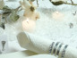 Preview: Crushed Ice, grob und klar, 500 g 5
