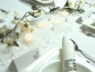 Preview: Crushed Ice, grob und klar, 500 g 4