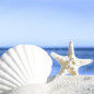 Preview: Sommerservietten "Shells by the sea" mt Muschel und Seestern - 1