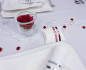 Preview: Gastgeschenk mit einer Taube - viele Band-Farben Preview: Gastgeschenk mit einer Taube - viele Band-Farben