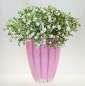 Preview: Rosa Glasvase "Bloom" - Vase, Blumenvase - 4 Preview: Rosa Glasvase "Bloom" - Vase, Blumenvase - 4