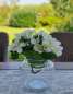 Preview: Glasvase, mediterranes geriffelt Windlicht Joey - 4 Preview: Glasvase, mediterranes geriffelt Windlicht Joey - 4