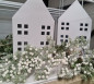 Preview: Japanische Pinie, whitewashed, 48 cm - 3 Preview: Japanische Pinie, whitewashed, 48 cm - 3