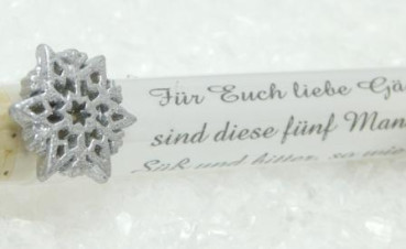 Weihnachtliches Gastgeschenk Silberstern 2