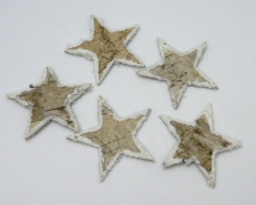 5 kleine Birkensterne mit Schneerand 2