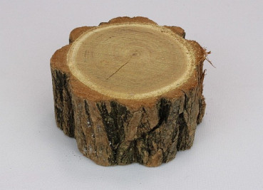 kleiner Akazienstamm - 4