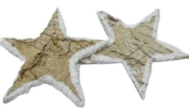 5 kleine Birkensterne mit Schneerand 1
