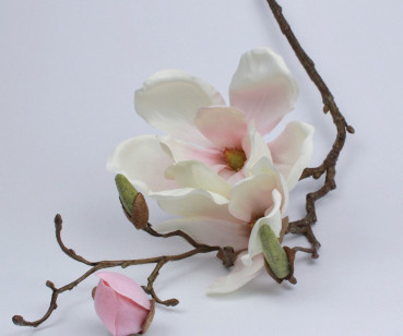 Mangolienzweig rosa oder weiß - Blumedeko, Osterdeko - 1