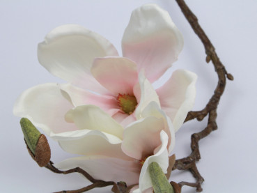 Mangolienzweig rosa oder weiß - Blumedeko, Osterdeko - 2