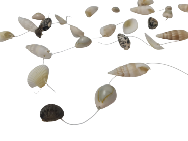 Girlande mit echten Muscheln - 2