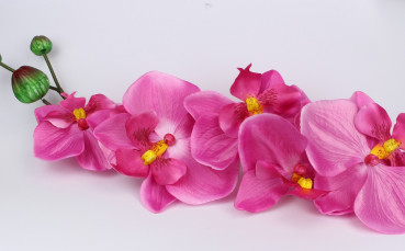 XXL-Orchidee in Pink - Blumendeko 2