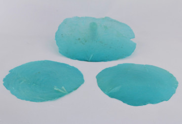 Gastgeschenk und Tischdeko. Muschelscheiben aus Perlmutt in Türkis_2