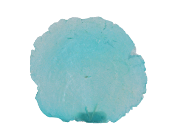 1 Muschelscheibe, Capiz türkisfarben