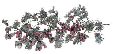 geeister Zweig von der japanischen Kiefer mit Beeren - 2