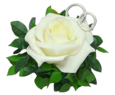 Rose in Rosenblättern mit zwei Ringen 1