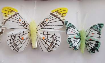 bunte Schmetterlinge mit einem Clip - 5