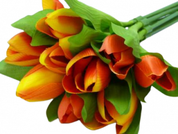 Blumen, Tulpen, Blumenstrauß, orange. Tischdeko-online.de 1